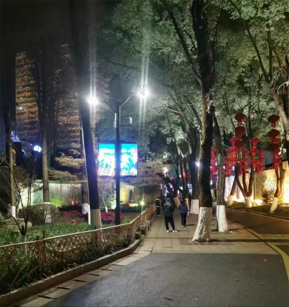 智能路燈廠家：智慧城市建設(shè)的核心驅(qū)動力